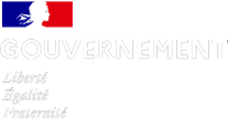 Government of France